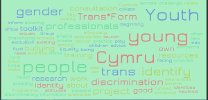 trans wordcloud